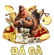 Chính sách quyền riêng tư Dom88